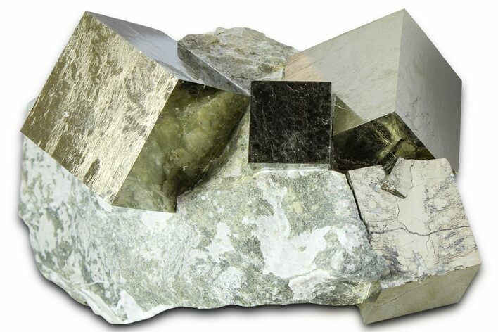 Five Gleaming Pyrite Cubes In Rock - Navajun, Spain #361777